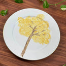 Aparelho de Jantar Ypê – 60 peças (com Brinde) | Serve 06 Pessoas