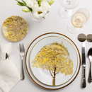 Aparelho de Jantar Brasil – 60 peças (com Brinde) | Serve 06 Pessoas