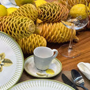 Aparelho de Jantar Flores – 60 peças (com Brinde) | Serve 06 Pessoas