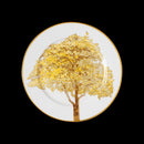 Aparelho de Jantar Brasil – 60 peças (com Brinde) | Serve 06 Pessoas