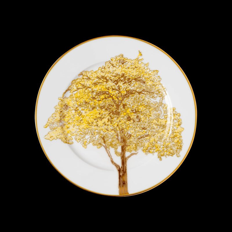 Aparelho de Jantar Brasil – 60 peças (com Brinde) | Serve 06 Pessoas